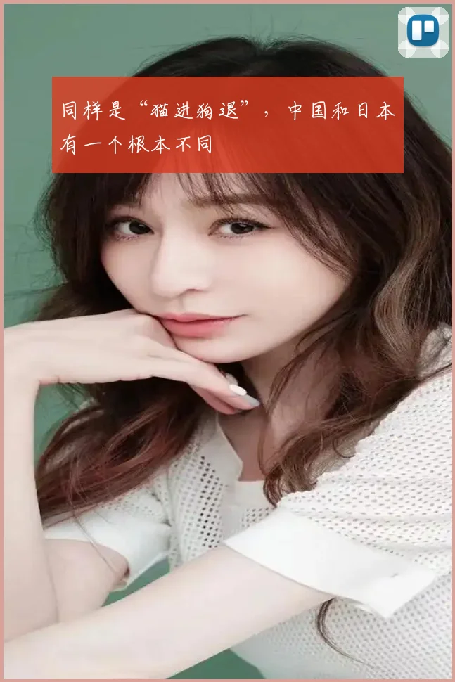 同样是“猫进狗退”,中国和日本有一个根本不同