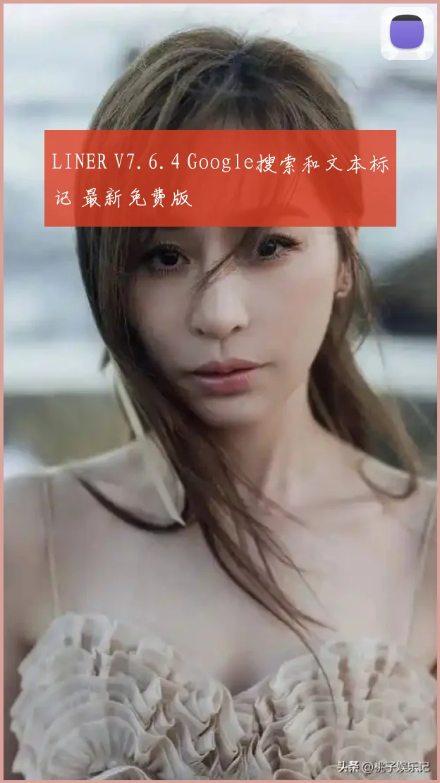 LINER V7.6.4 Google搜索和文本标记 最新免费版