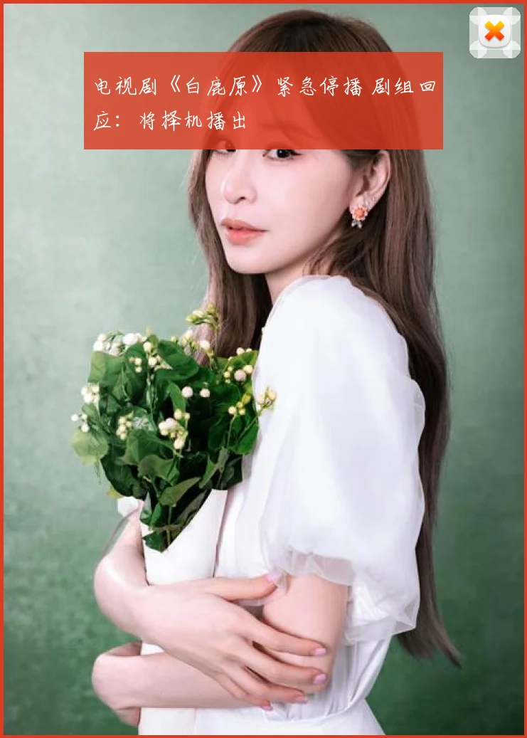 电视剧《白鹿原》紧急停播 剧组回应:将择机播出