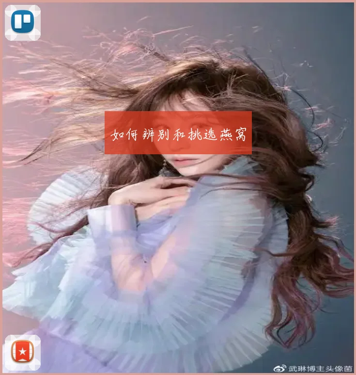 如何辨别和挑选燕窝