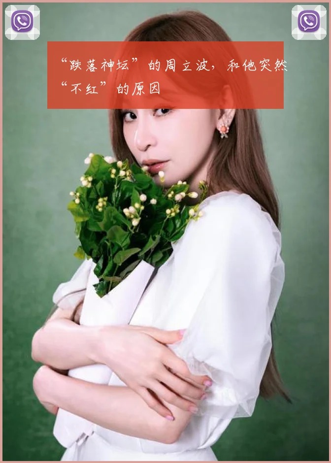 “跌落神坛”的周立波，和他突然“不红”的原因