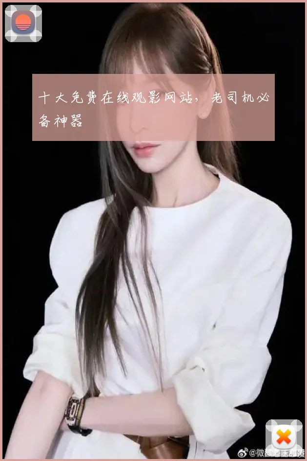 十大免费在线观影网站,老司机必备神器