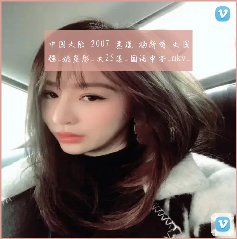 中国大陆_2007_墓道_杨新鸣_曲国强_姚星彤_共25集_国语中字_mkv_每集699m共17.8g_无台标