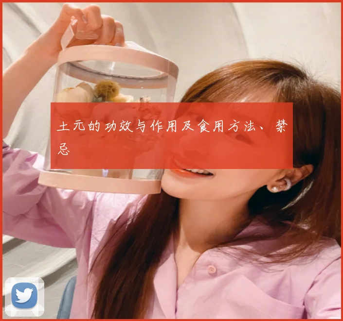 土元的功效与作用及食用方法、禁忌