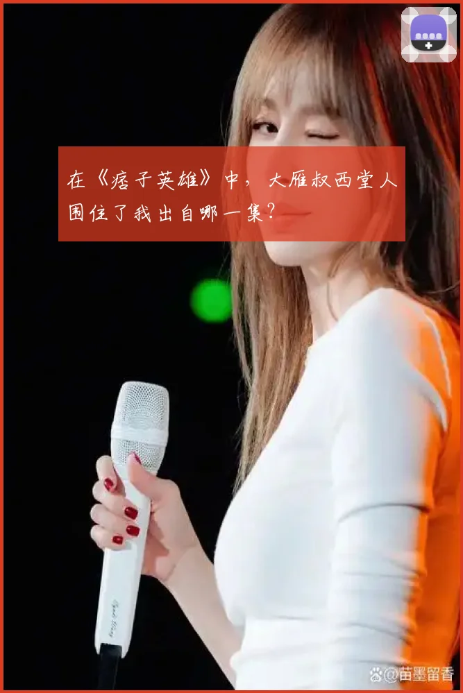 在《痞子英雄》中,大雁叔西堂人围住了我出自哪一集?