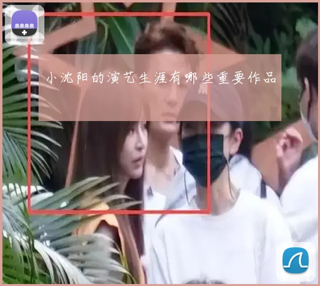 小沈阳的演艺生涯有哪些重要作品