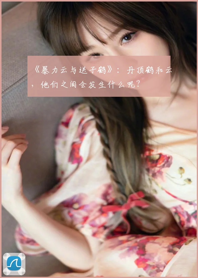 《暴力云与送子鹤》:丹顶鹤和云,他们之间会发生什么呢?