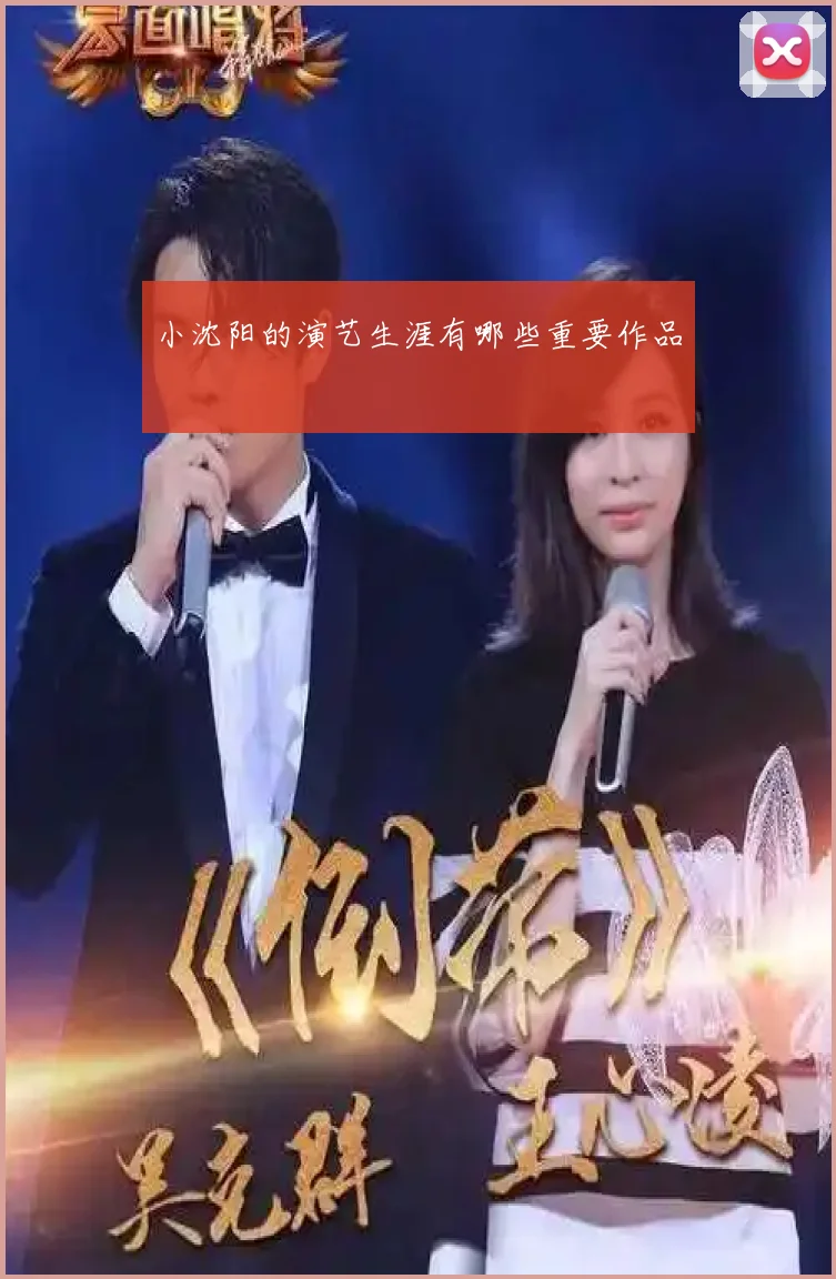 小沈阳的演艺生涯有哪些重要作品