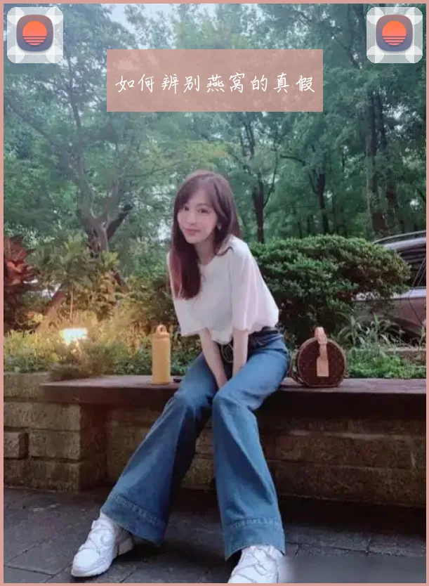 如何辨别燕窝的真假