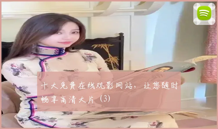 十大免费在线观影网站,让您随时畅享高清大片 (3)