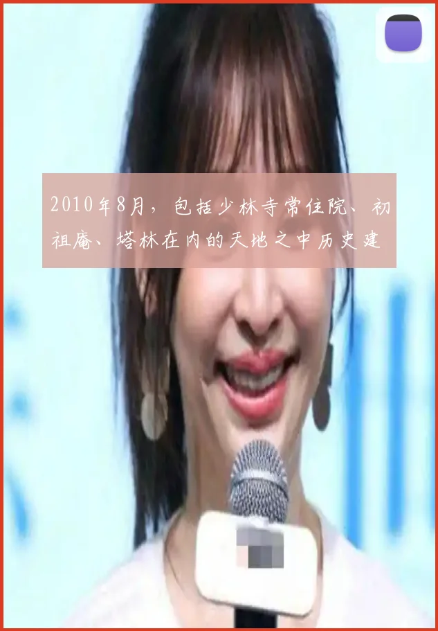 2010年8月,包括少林寺常住院、初祖庵、塔林在内的天地之中历史建筑群被联合国科教文组织列为世界文化遗产