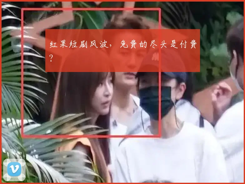 红果短剧风波,免费的尽头是付费?