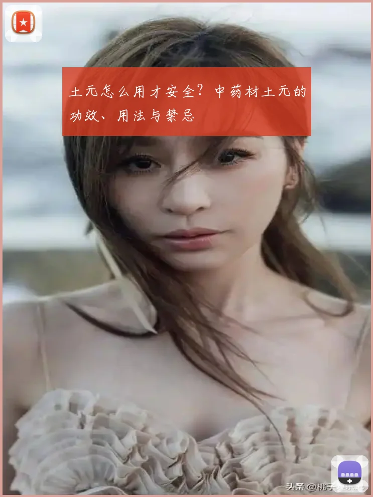 土元怎么用才安全?中药材土元的功效、用法与禁忌