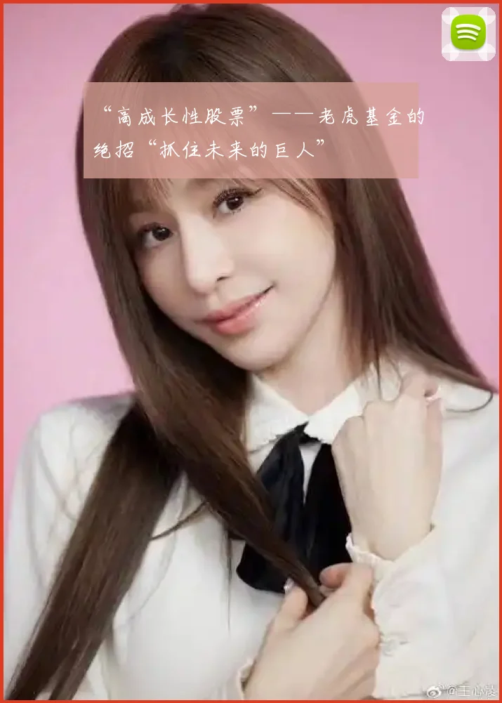 “高成长性股票”——老虎基金的绝招“抓住未来的巨人”