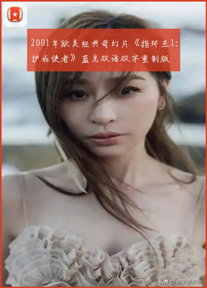 2001年欧美经典奇幻片《指环王1:护戒使者》蓝光双语双字重制版