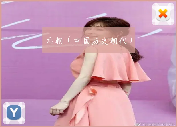元朝(中国历史朝代)