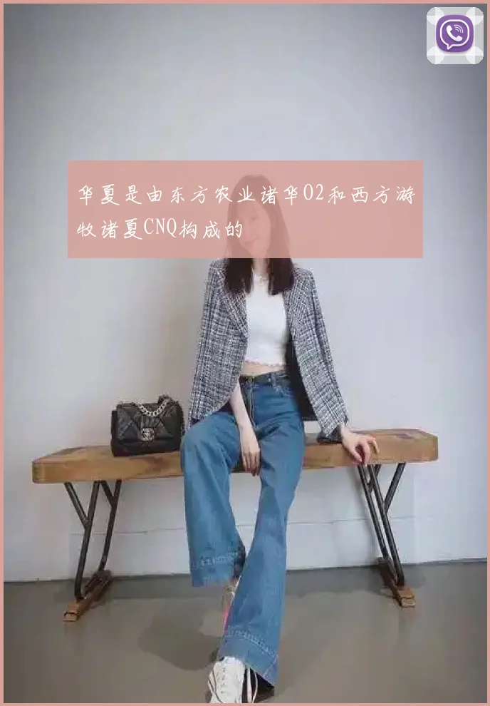 华夏是由东方农业诸华O2和西方游牧诸夏CNQ构成的