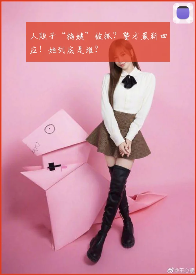 人贩子“梅姨”被抓？警方最新回应！她到底是谁？