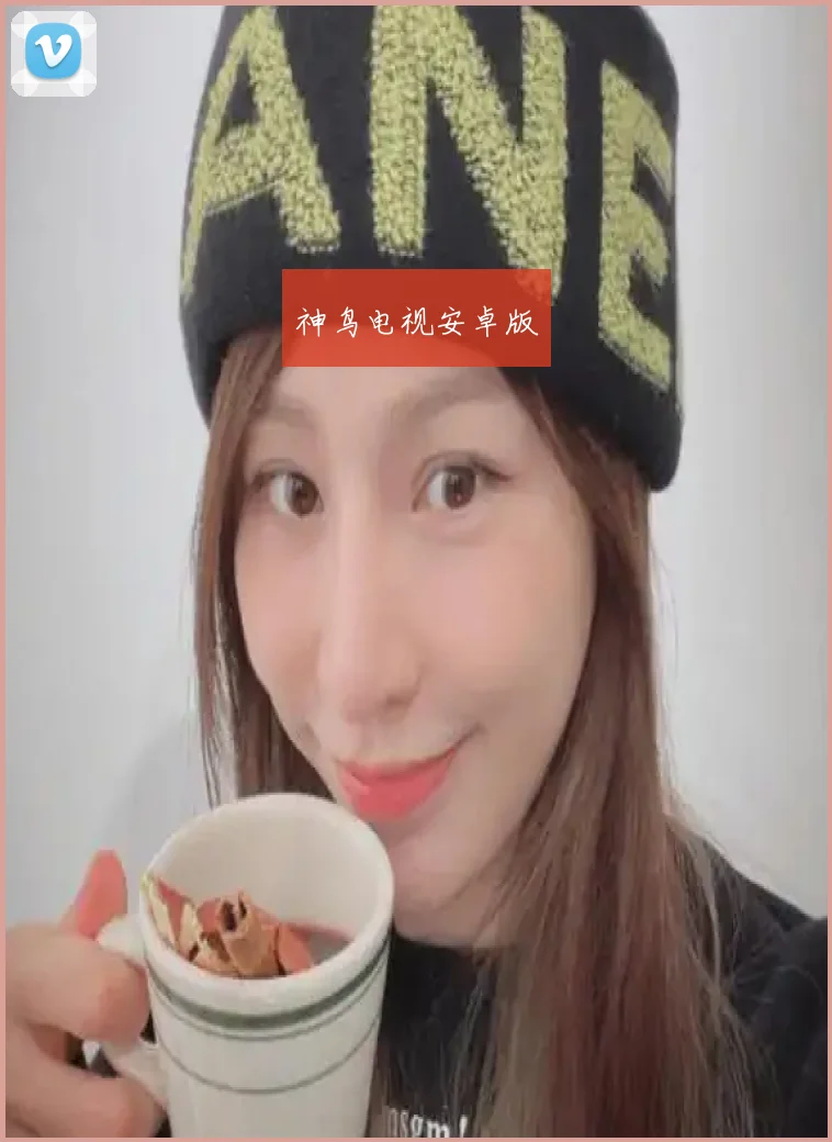 神鸟电视安卓版